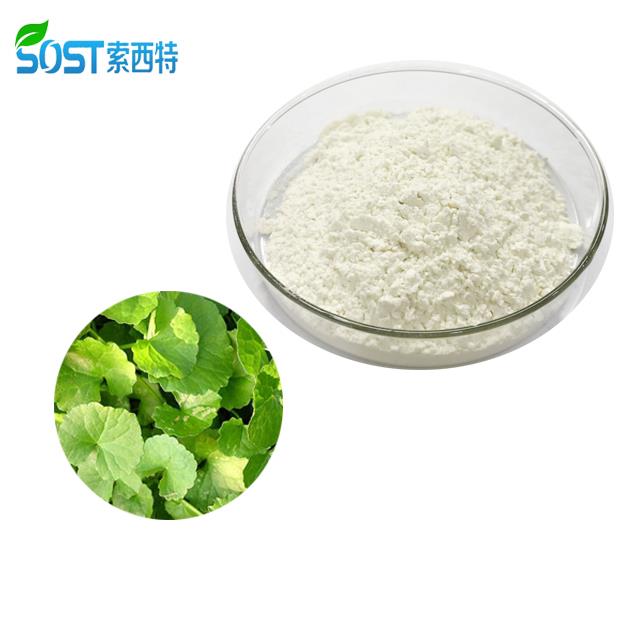 Centella Asiatica Herbal Extract