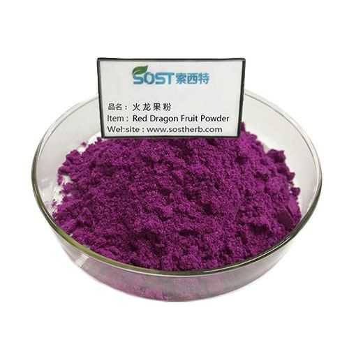 Freeze Dried Red Dragon Fruit Powder