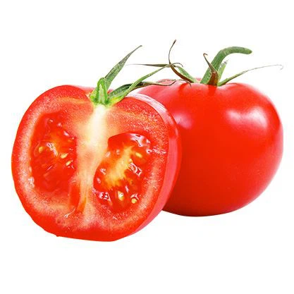 tomato powder